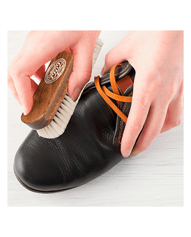 Collonil 1909 Fine Polishing Brush Szczotka Do Butów z Włosia Koźlego