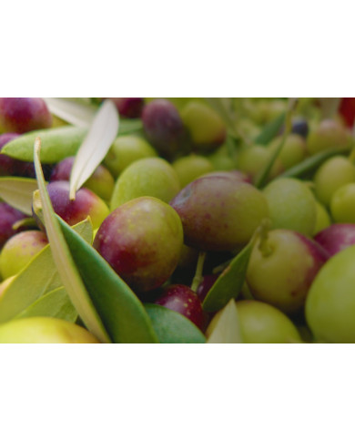 Collonil Organic Protect & Care 200 ml Impregnat Do Butów