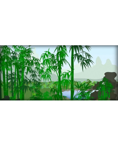 Collonil Organic Bamboo Lotion 200 ml Emulsja Do Czyszczenia Butów