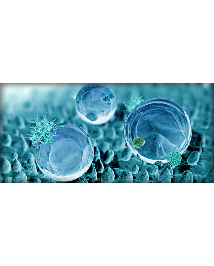 copy of Collonil Nanopro High Tech 300 ml Impregnat Do Butów