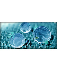 Collonil Nanopro High Tech 300 ml Impregnat Do Butów Zestaw 3 sztuki